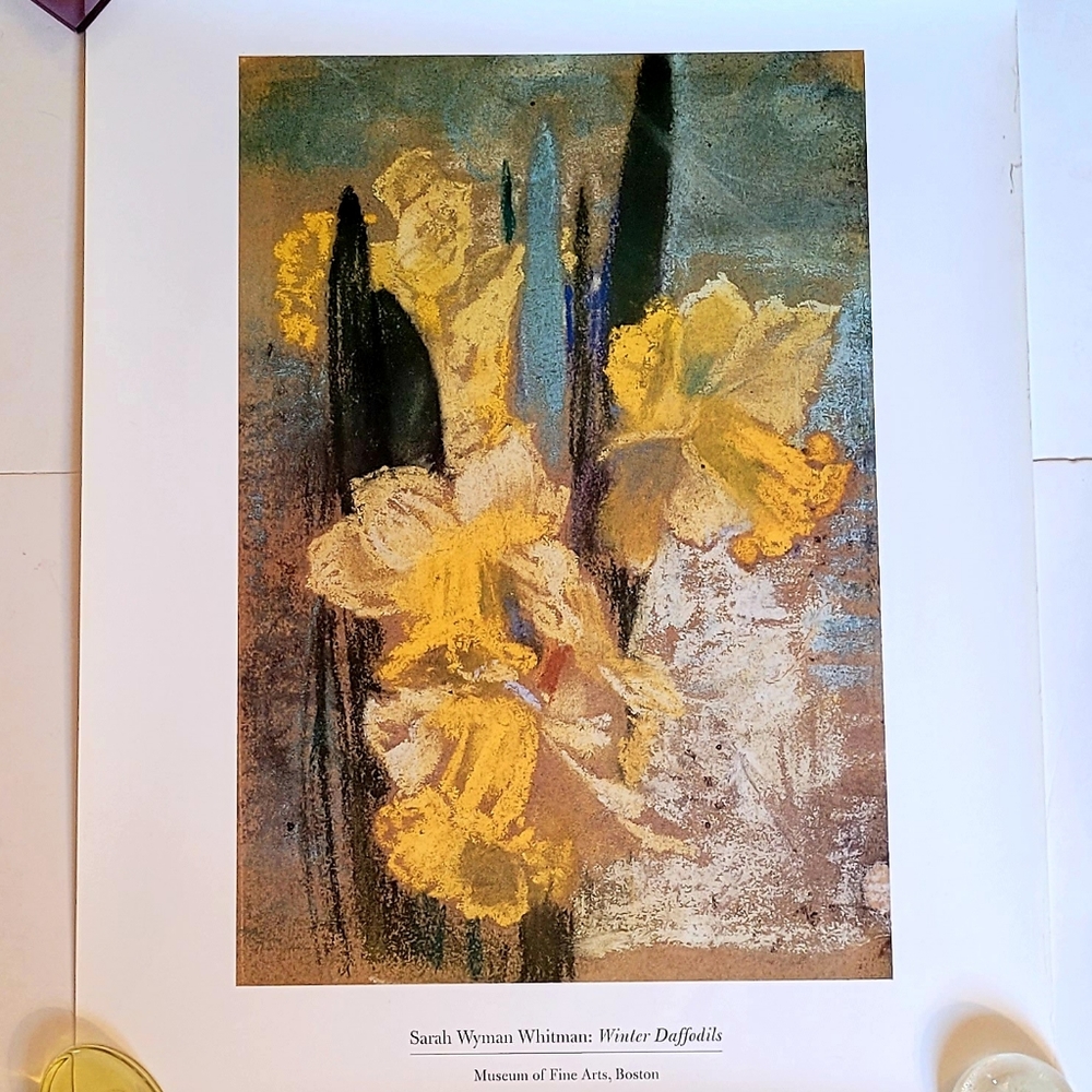 NWOT Winter Daffodils Print